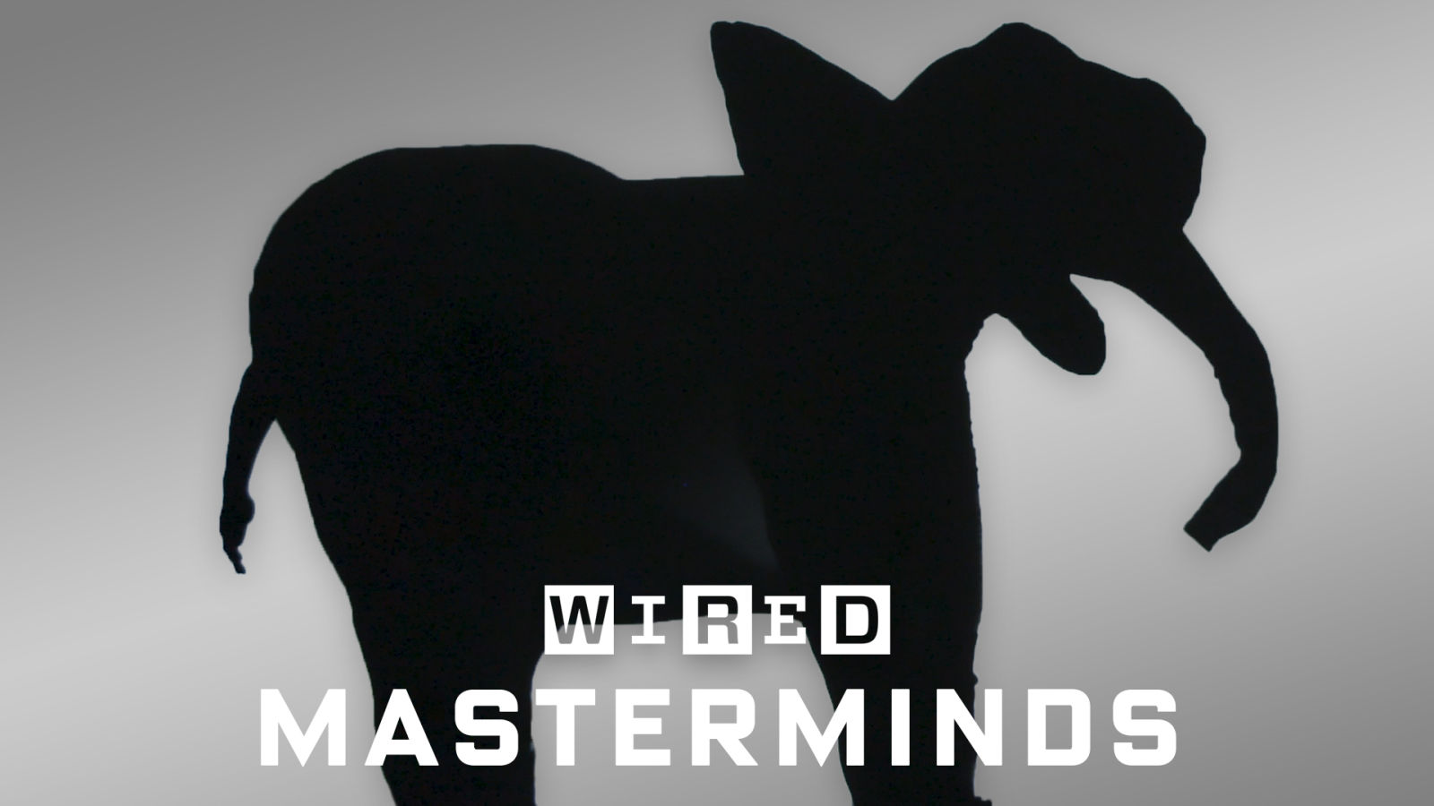 How Pilobolus Brings Shadows to Life