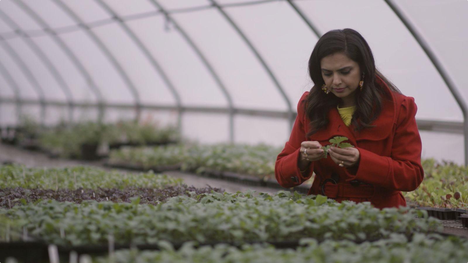 Maneet Chauhan is Building a Food and Drink Empire