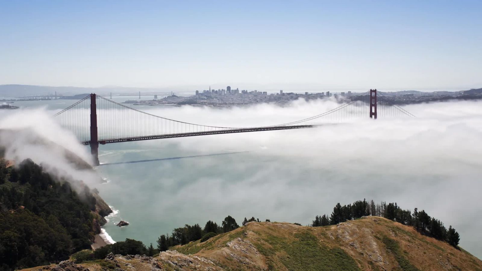 Melody Yang Makes Bubbles That Billow, Bend and Break Records