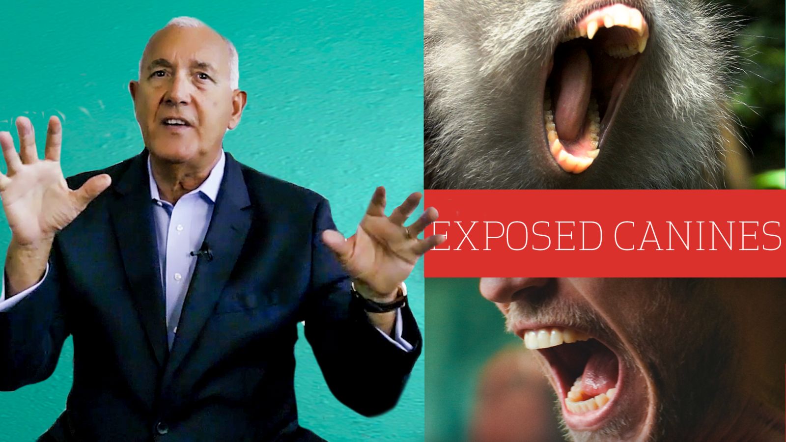 Former FBI Agent Breaks Down Body Language We Can't Control