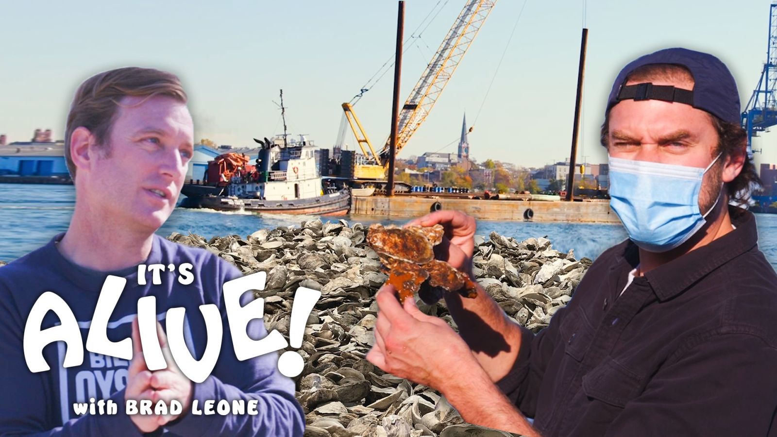 Brad Restores Oyster Reefs