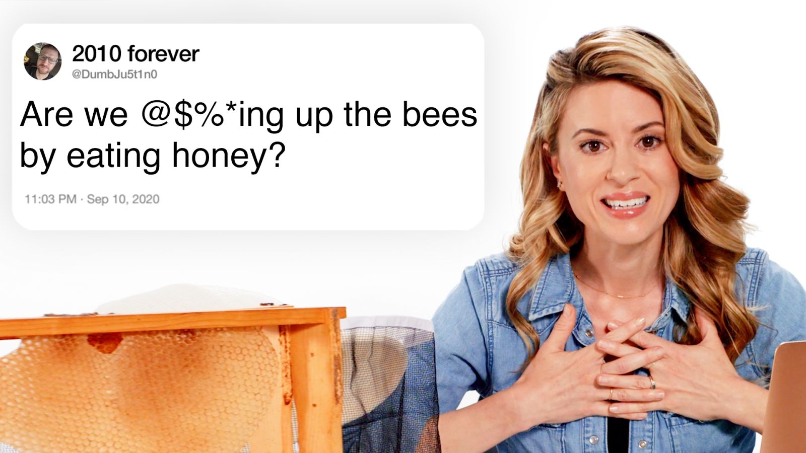 Beekeeper Answers Bee Questions From Twitter