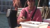 Jasper White: Buying Shellfish at the Boston Fish Pier