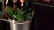 How to Make a Mint Julep Cocktail