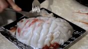 How to Make Brains!