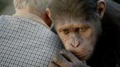 Director And Lead Ape Talk About Rise Of Planet of the Apes