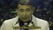 Howard Cosell As Howard Cosell