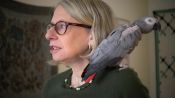 At Home with Roz Chast
