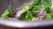 Winter Salads: Escarole