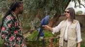 French Montana & 2 Chainz Make Friends With a Parrot