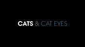 Go Behind The Scenes Of Our Cats And Cat Eyes Beauty Shoot
