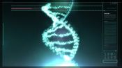 DNA Editing: Doping of the Future?