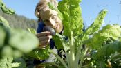 Here's What It Takes to Grow Your Favorite Foods