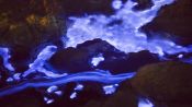 Talking Pictures | The Blue Lava of Indonesia