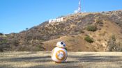 BB-8 From Star Wars Travels to Los Angeles for the Oscars