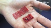The Crazy Plan to Use Swallowable Origami to Fish Batteries Out of Tummies