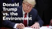 Donald Trump vs. the Environment