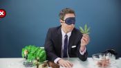 We Blindfolded Seth Meyers and Made Him Touch a Bunch of Things