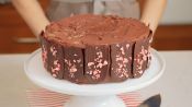 Double Chocolate Cake with Peppermint Chocolate Frosting