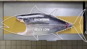 How To Butcher a Whole Tuna: Every Cut of Fish Explained