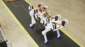 Inside the Lab That's Building a Robot Cat