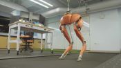 How to Get Robots to Walk (and Jump and Run) Among Us