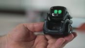 Vector, Anki's New Home Robot Sure Is Cute. But Can It Survive?