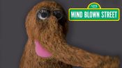 Mr. Snuffleupagus Reads Mind-Blowing Facts About the Universe