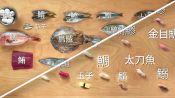 How to Make 12 Types of Sushi with 11 Different Fish