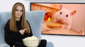 Rosanna Pansino Reviews the Internet's Most Popular Food Videos | Food Film School