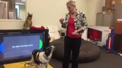 How FIDO helps working dogs communicate with their owners