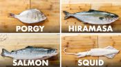 How To Fillet Every Fish