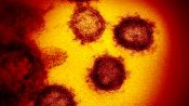 The Mysteries Perplexing Doctors About the Coronavirus