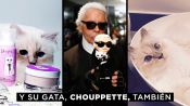 10 datos de Karl Lagerfeld que todo el mundo debería conocer