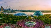 Rediscover Singapore