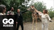 Самые дорогие вещи в мире: купи жирафа за $40 000