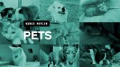 WIRED Reviews: Pets
