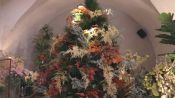 [VÍDEO]: A LA CAZA del árbol de Navidad
