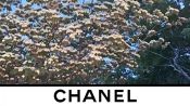 Chanel video teaser streaming collezione AI 20/21