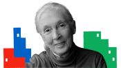 Jane Goodall on the Life Lessons She Learned from Chimps