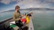 Ora puoi avere un pescatore personale in Alaska
