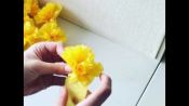 How to make Crepe Paper Flowers