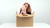 Grace Coddington Unboxes the Perfect Furry Holiday Gift (Hint: It’s Not a Cat)