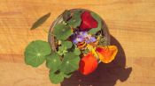 How to Make an Edible Flowerpot
