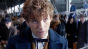 The Amazing Visual Effects of "Fantastic Beasts and Where to Find Them"