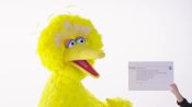 The Cast of 'Sesame Street' Answer the Web's Most Searched Questions 