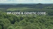 Zip Code & Genetic Code | WIRED Brand Lab