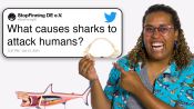 Marine Biologist Answers Shark Questions From Twitter