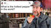 Pepper X Creator Ed Currie Answers Pepper Questions From Twitter