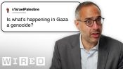 Harvard Professor Answers Middle East Questions